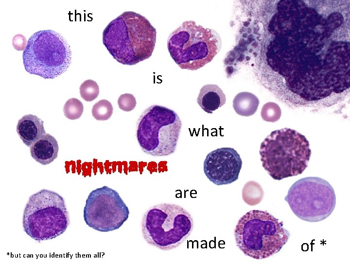 this is what are *but can you identify them all? made of * 