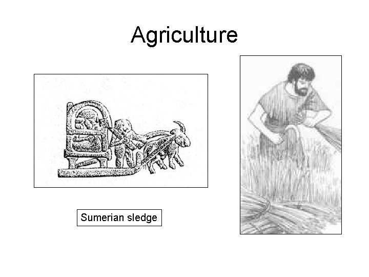 Agriculture Sumerian sledge 
