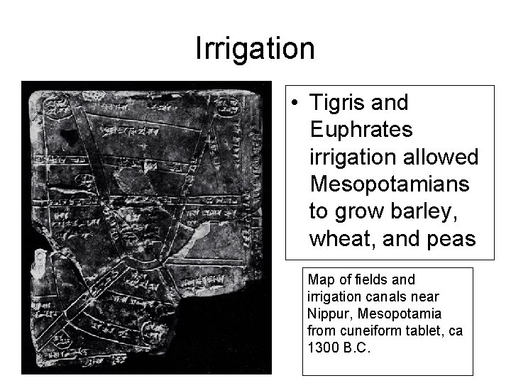 Irrigation • Tigris and Euphrates irrigation allowed Mesopotamians to grow barley, wheat, and peas