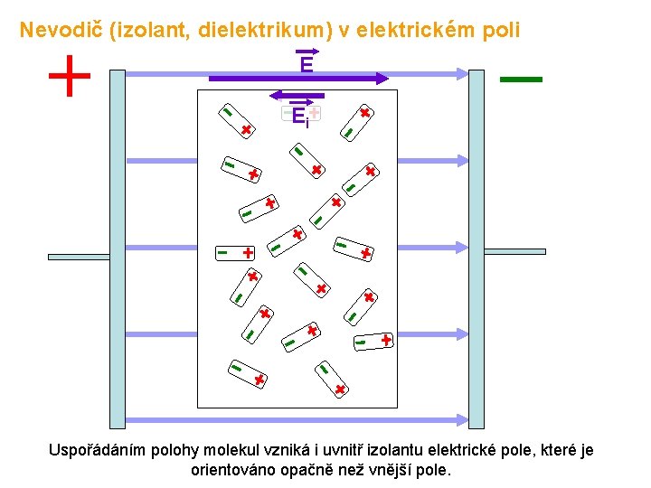 Nevodič (izolant, dielektrikum) v elektrickém poli E Ei Uspořádáním polohy molekul vzniká i uvnitř