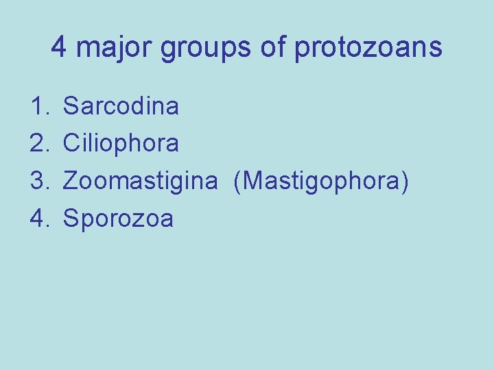 4 major groups of protozoans 1. 2. 3. 4. Sarcodina Ciliophora Zoomastigina (Mastigophora) Sporozoa