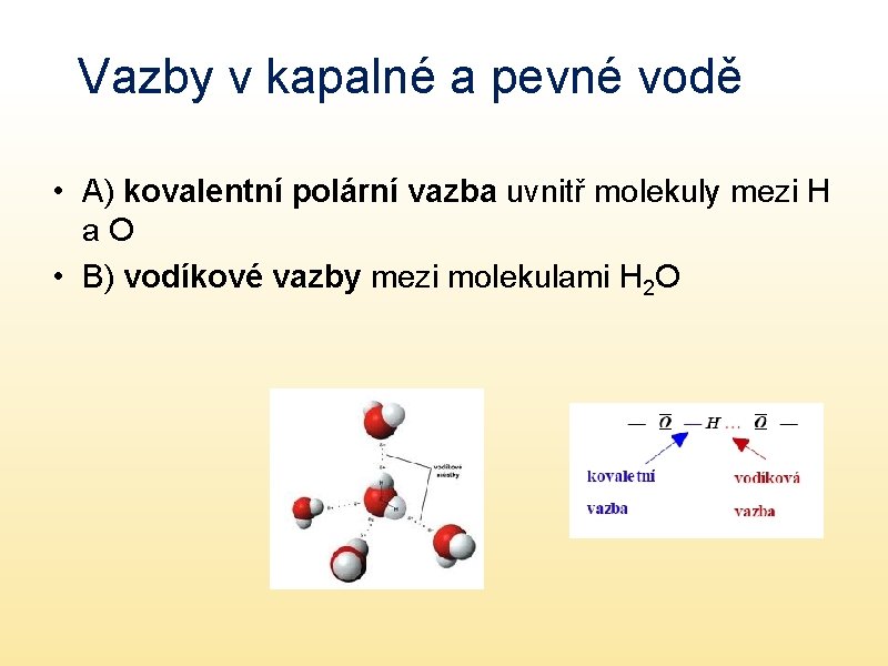 Vazby v kapalné a pevné vodě • A) kovalentní polární vazba uvnitř molekuly mezi