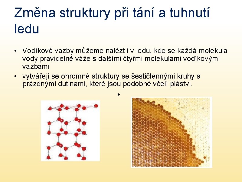 Změna struktury při tání a tuhnutí ledu • Vodíkové vazby můžeme nalézt i v