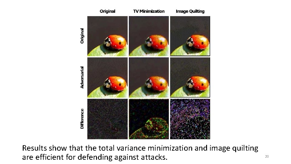Results show that the total variance minimization and image quilting are efficient for defending