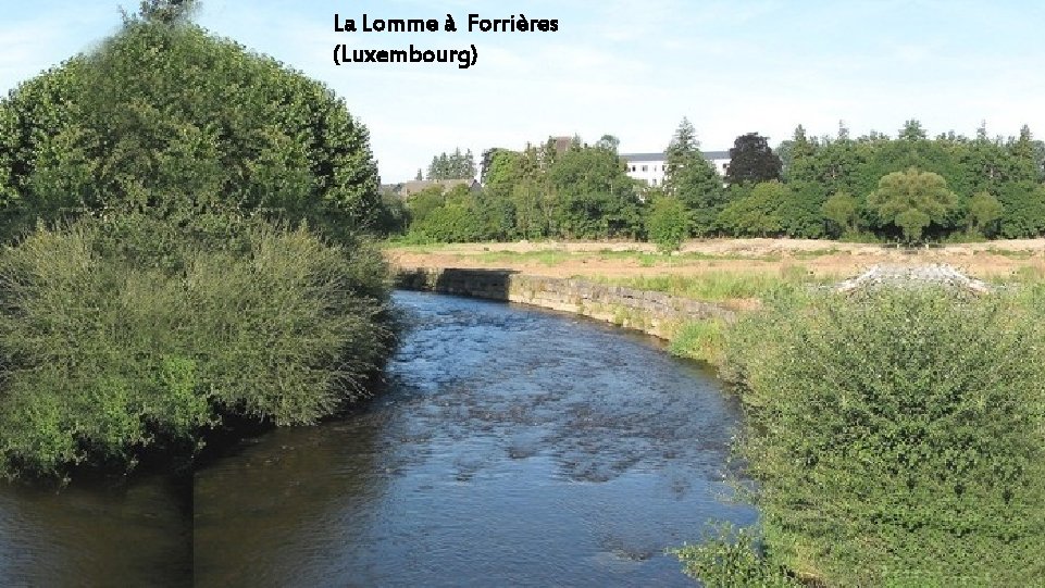 La Lomme à Forrières (Luxembourg) 