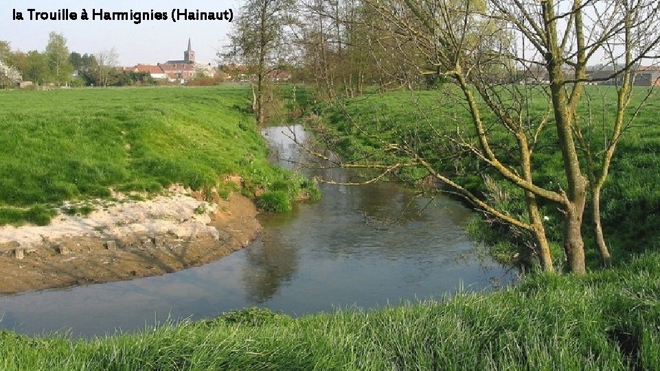 la Trouille à Harmignies (Hainaut) 