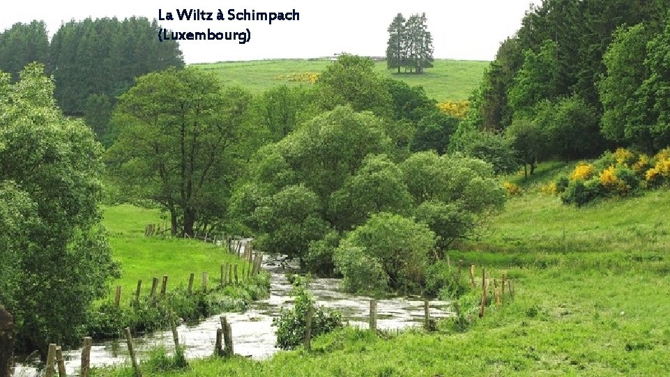 La Wiltz à Schimpach (Luxembourg) 