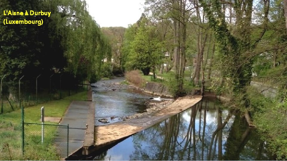 L'Aisne à Durbuy (Luxembourg) 