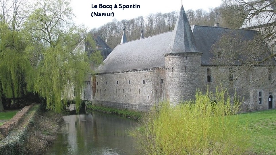 Le Bocq à Spontin (Namur) 