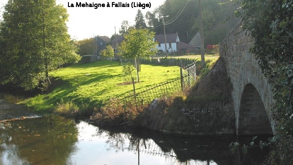 La Mehaigne à Fallais (Liège) 