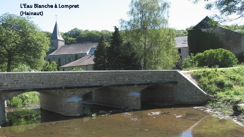 L'Eau Blanche à Lompret (Hainaut) 