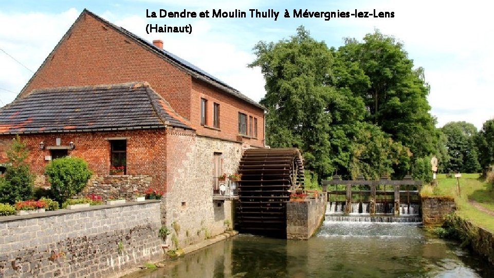 La Dendre et Moulin Thully à Mévergnies-lez-Lens (Hainaut) 