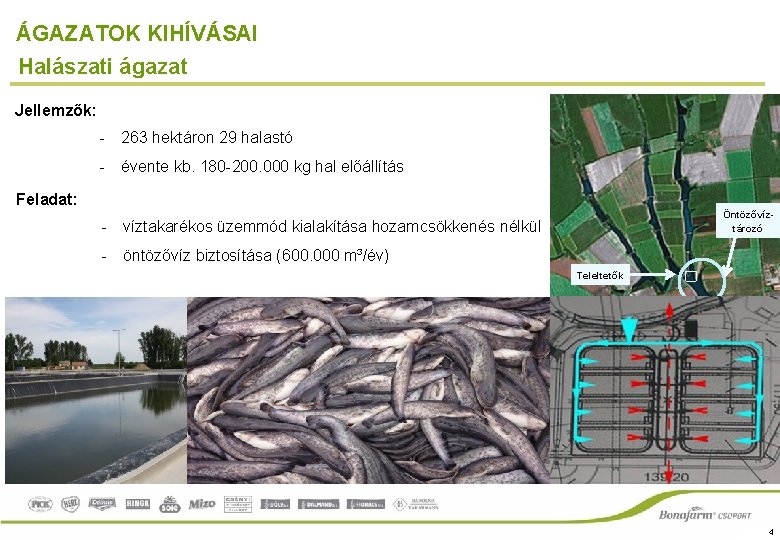 ÁGAZATOK KIHÍVÁSAI Halászati ágazat Jellemzők: - 263 hektáron 29 halastó - évente kb. 180