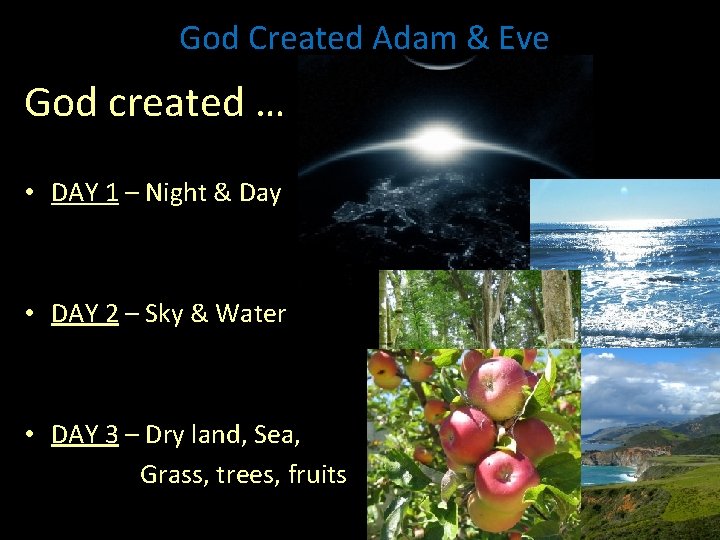 God Created Adam & Eve God created … • DAY 1 – Night &