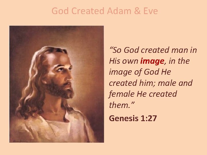 God Created Adam & Eve “So God created man in His own image, in