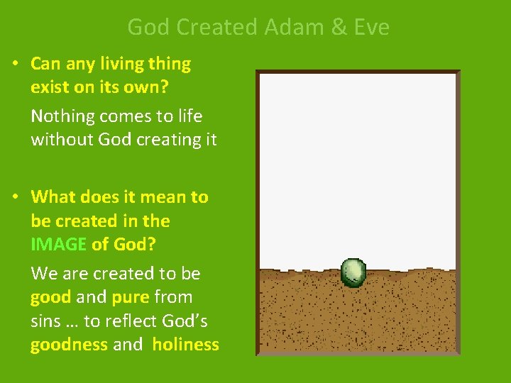 God Created Adam & Eve • Can any living thing exist on its own?