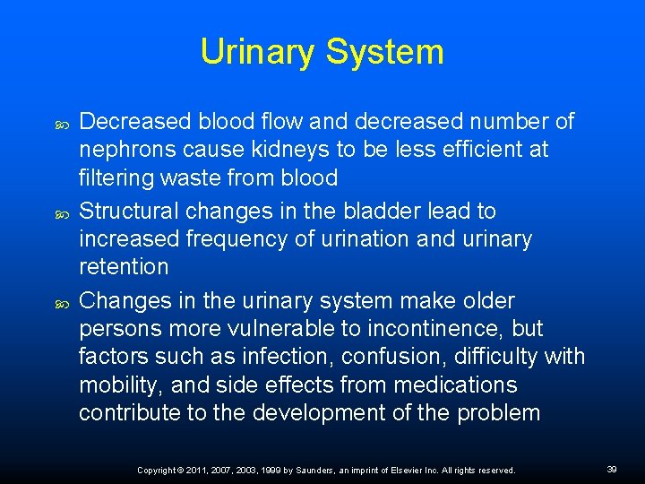 Urinary System Decreased blood flow and decreased number of nephrons cause kidneys to be