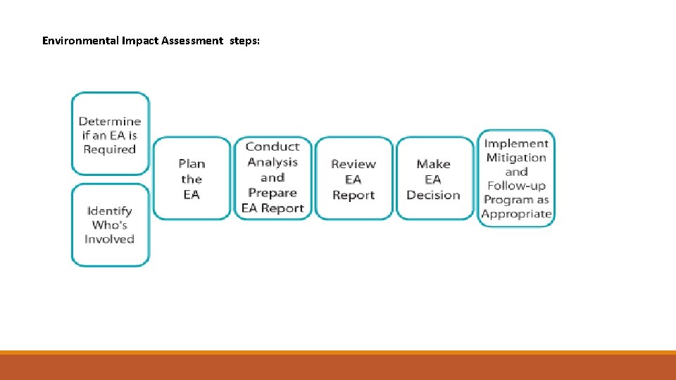 Environmental Impact Assessment steps: 