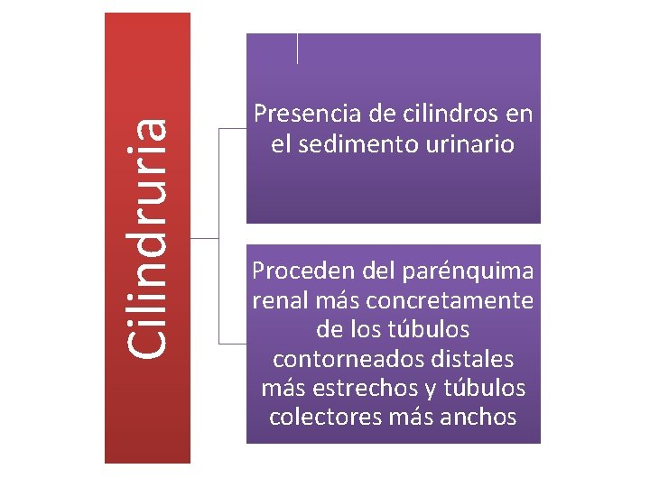 Cilindruria Presencia de cilindros en el sedimento urinario Proceden del parénquima renal más concretamente