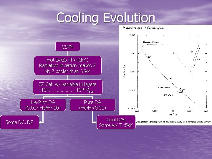 Cooling Evolution CSPN Hot DAZs (T>40 k. K) Radiative leviation makes Z No Z Cooling Evolution CSPN Hot DAZs (T>40 k. K) Radiative leviation makes Z No Z