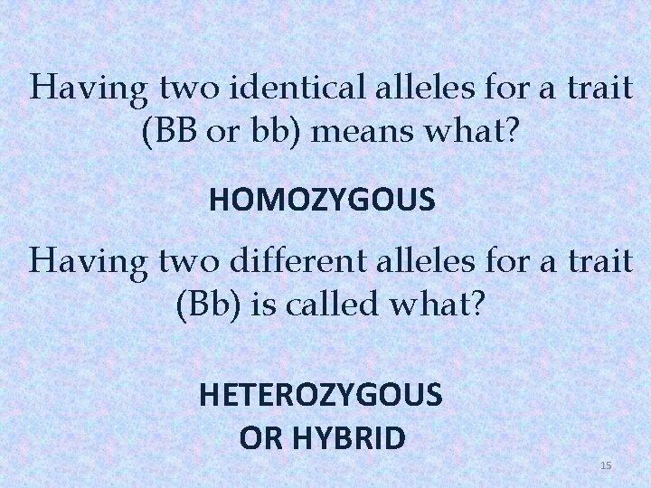 Having two identical alleles for a trait (BB or bb) means what? HOMOZYGOUS Having
