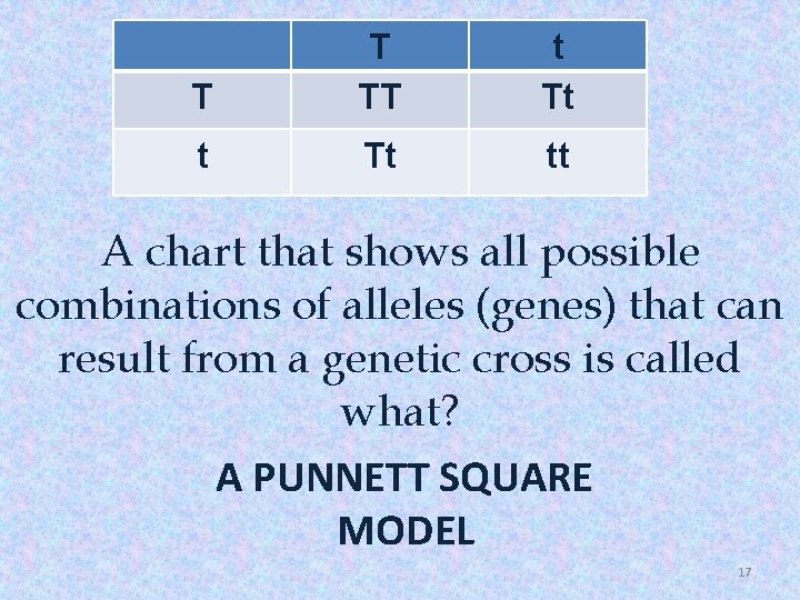 T T TT t Tt tt A chart that shows all possible combinations of