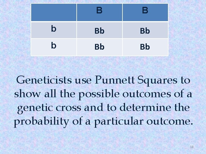 B B b Bb Bb Geneticists use Punnett Squares to show all the possible