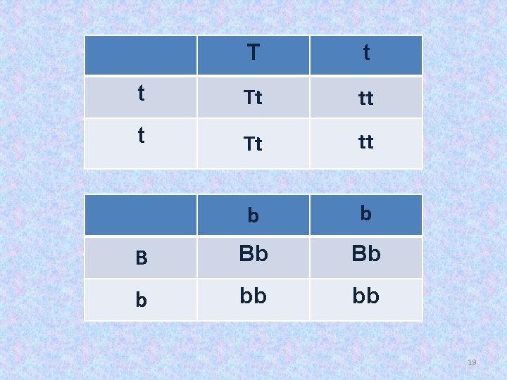 T t t Tt tt b b B Bb Bb b bb bb 19