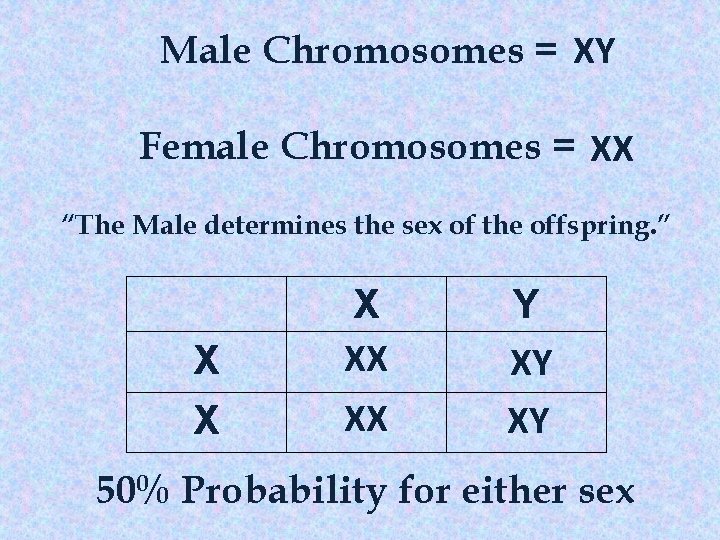 Male Chromosomes = XY Female Chromosomes = XX “The Male determines the sex of