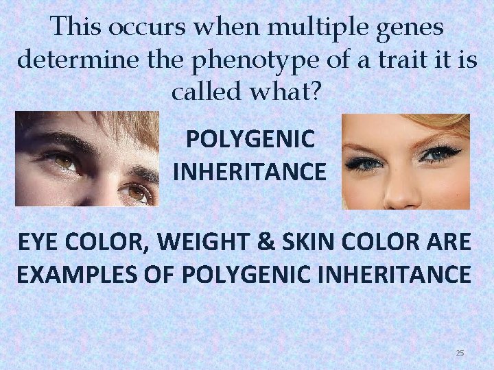 This occurs when multiple genes determine the phenotype of a trait it is called
