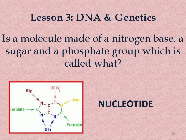 Lesson 3: DNA & Genetics Is a molecule made of a nitrogen base, a