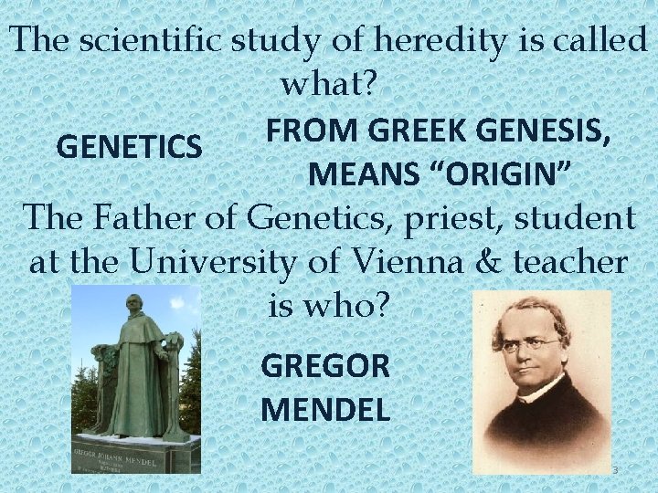 The scientific study of heredity is called what? FROM GREEK GENESIS, GENETICS MEANS “ORIGIN”