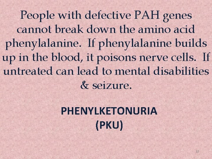 People with defective PAH genes cannot break down the amino acid phenylalanine. If phenylalanine