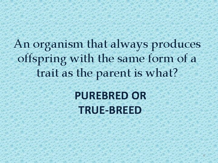 An organism that always produces offspring with the same form of a trait as