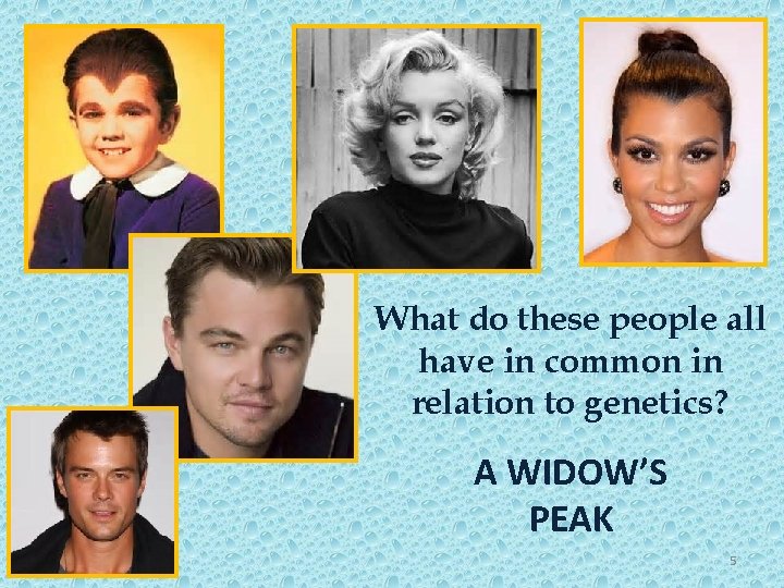 What do these people all have in common in relation to genetics? A WIDOW’S