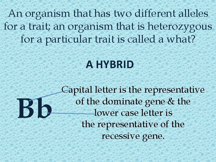 An organism that has two different alleles for a trait; an organism that is
