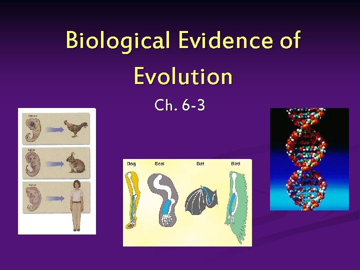 Biological Evidence of Evolution Ch. 6 -3 