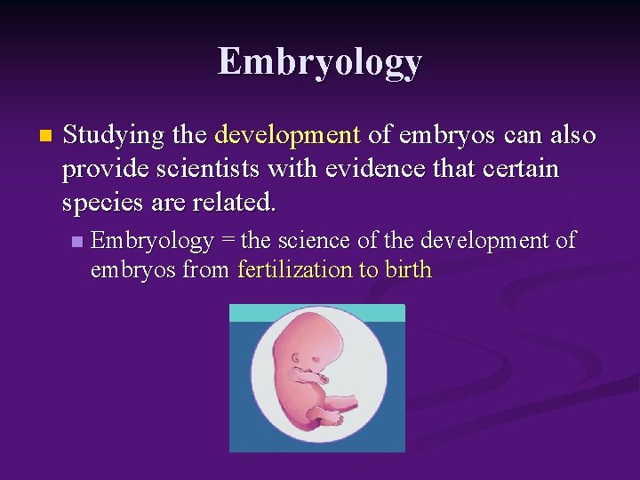 Embryology n Studying the development of embryos can also provide scientists with evidence that