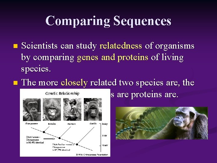 Comparing Sequences Scientists can study relatedness of organisms by comparing genes and proteins of