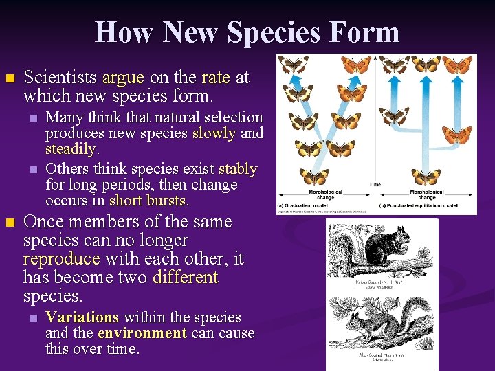 How New Species Form n Scientists argue on the rate at which new species