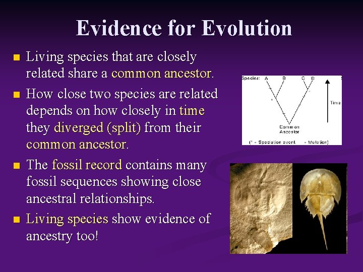 Evidence for Evolution n n Living species that are closely related share a common