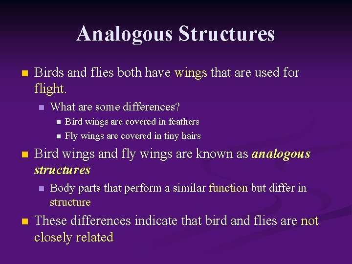Analogous Structures n Birds and flies both have wings that are used for flight.