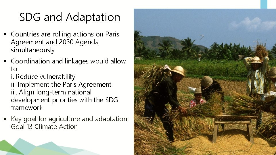 Integrating Agriculture in National Adaptation Plans MODULE 1