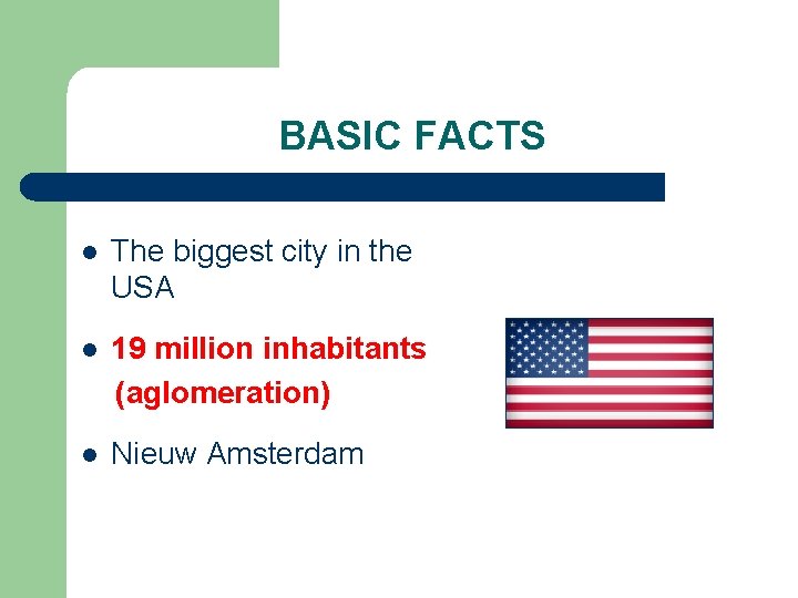 BASIC FACTS l The biggest city in the USA l 19 million inhabitants (aglomeration)