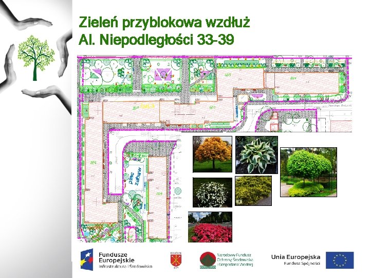 Zieleń przyblokowa wzdłuż Al. Niepodległości 33 -39 