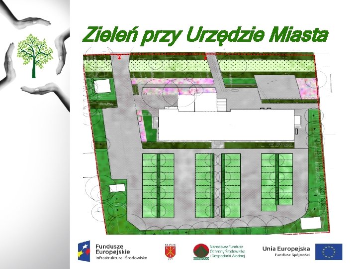 Zieleń przy Urzędzie Miasta 