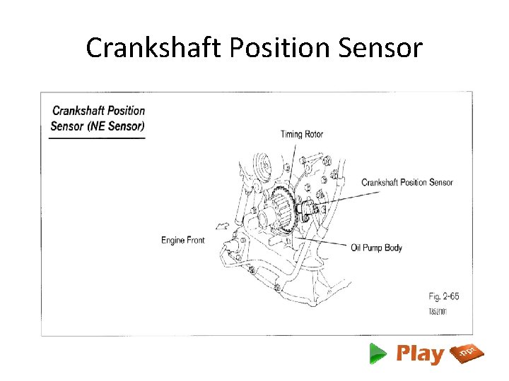 Crankshaft Position Sensor 