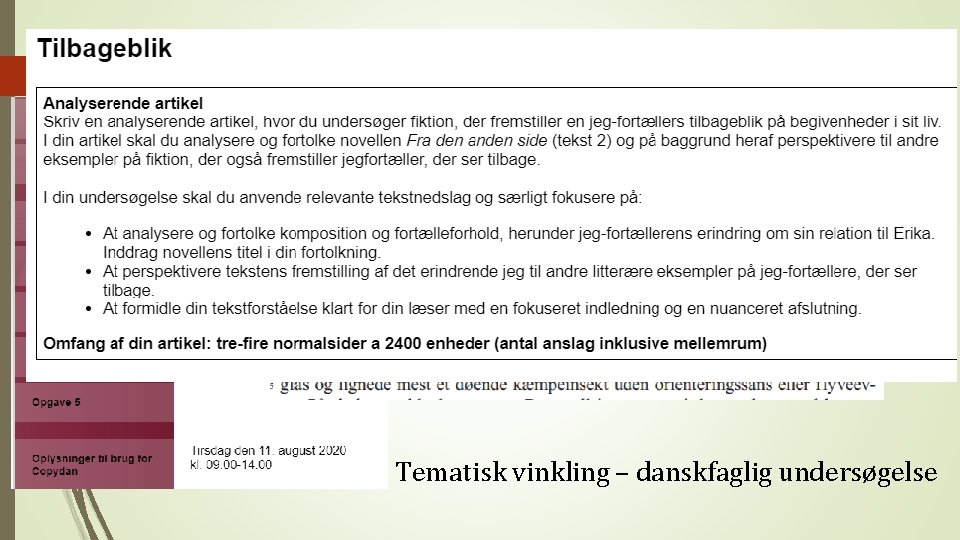 Tematisk vinkling – danskfaglig undersøgelse 