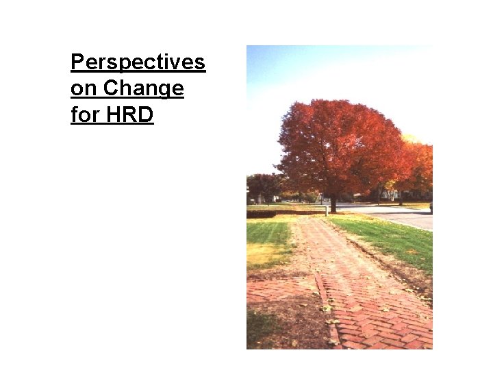 Perspectives on Change for HRD 
