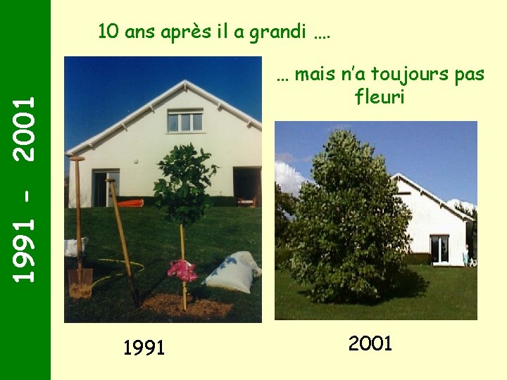 10 ans après il a grandi …. 1991 - 2001 … mais n’a toujours
